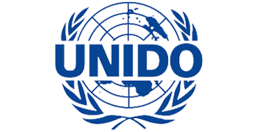 UNIDO Project DP/PAK/93/006